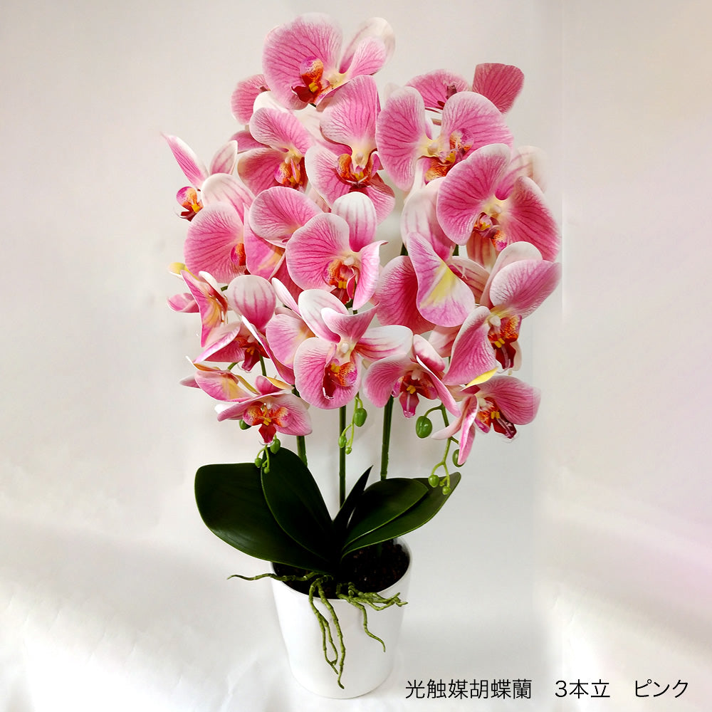 Nearly Natural 4643-PP 胡蝶蘭 ガラス花瓶装飾シルクフラワー
